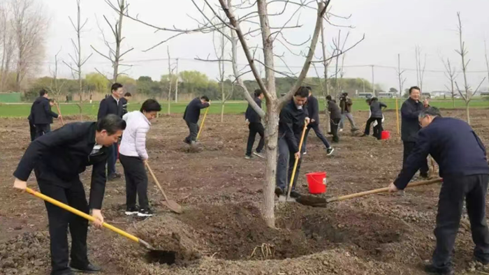 市领导参加义务植树活动